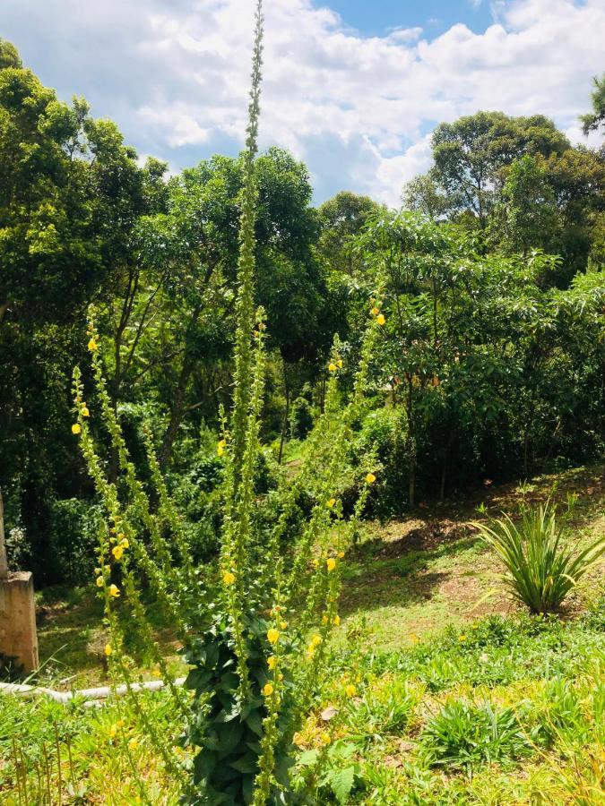 All Green Residence Monte Verde  Bagian luar foto